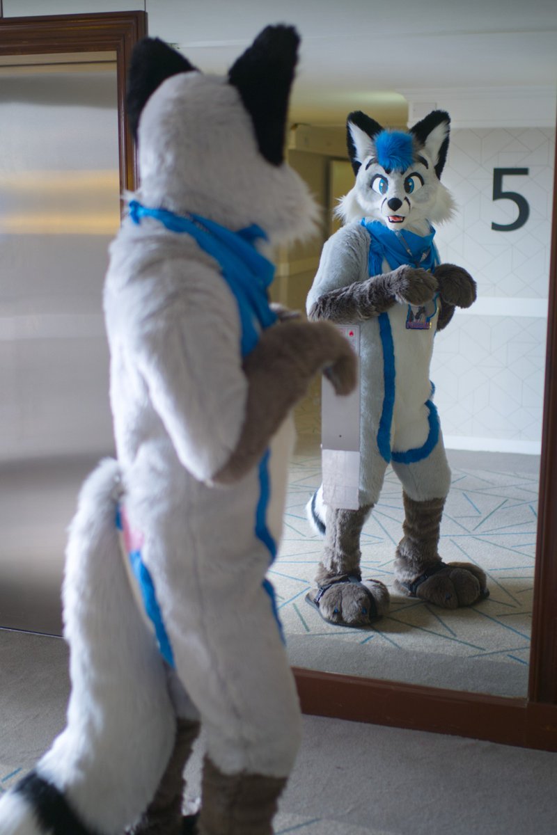 Ha that stupid guy has no chance of winning that staring contest! #FursuitFriday 

📸<a href="/DarteriRoo/">🟦☁️Darteri Roo 💙💛</a>