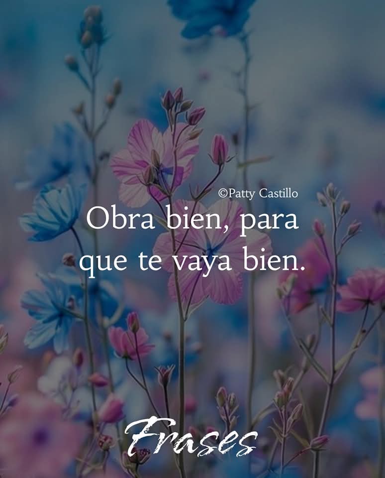 Pancho tweet media