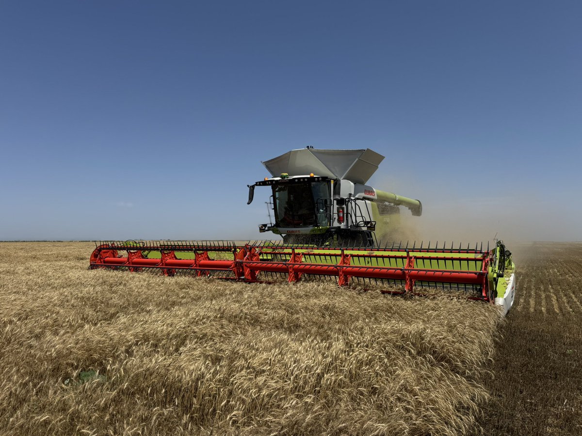 rockormiston2's tweet image. #SexyLexi is in her element and looking better than ever. @mjaeger6 @CLAAS_America