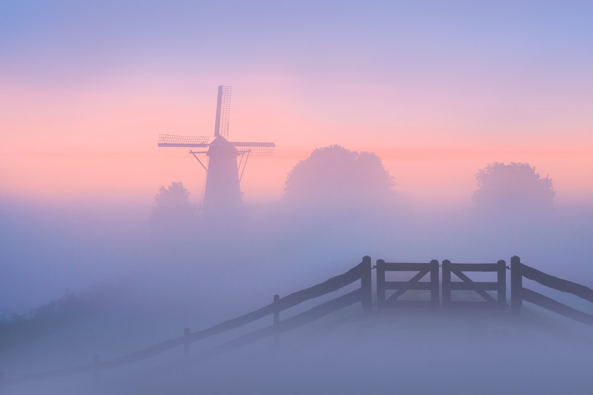 How windmills are waking up on the Dutch countryside.