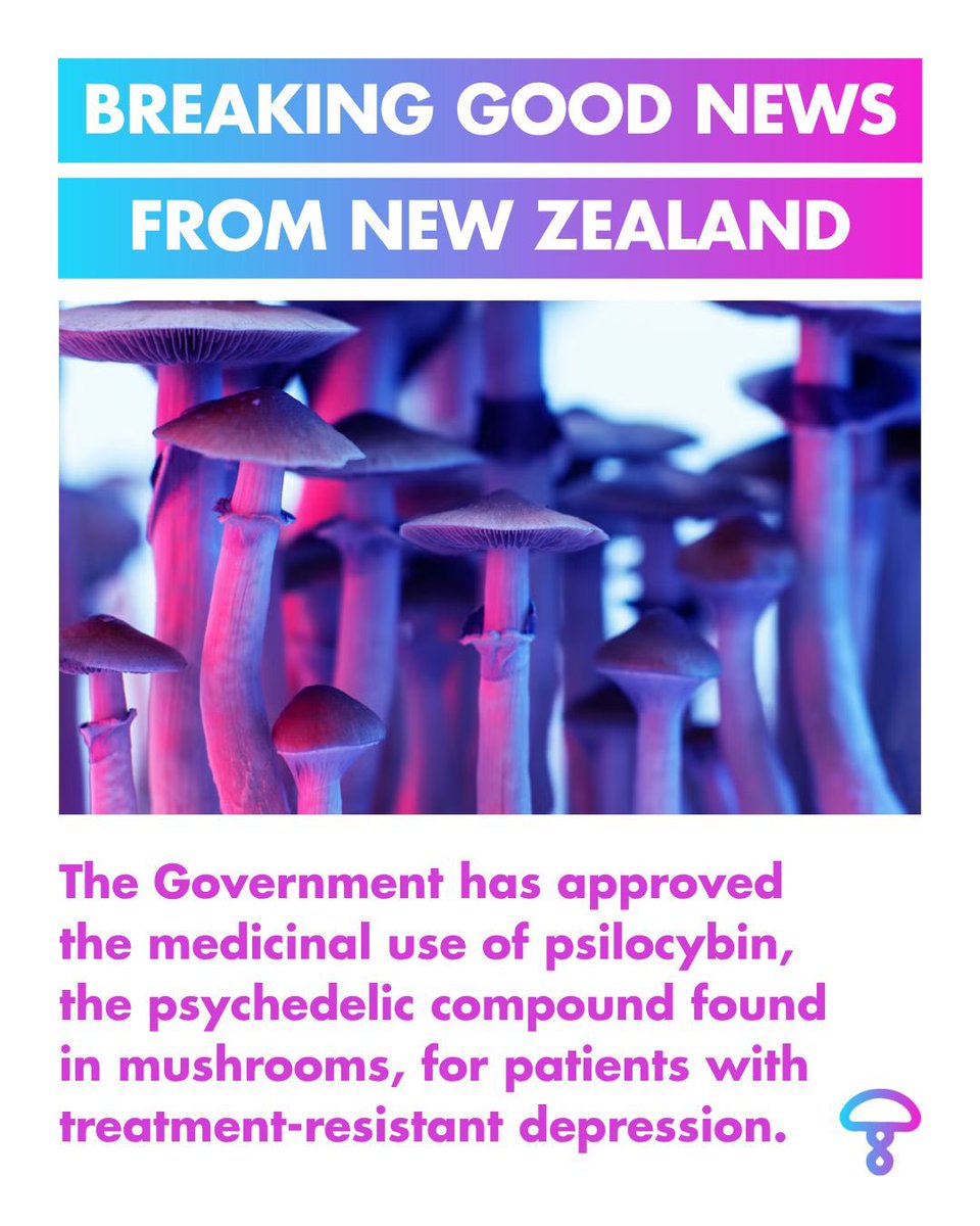 🇳🇿New Zealand approves psilocybin therapy for mental health — a huge step for science and hope for those who suffer. On #WorldPsychedelicDay, let’s spread awareness and sign the 🧠❤️🇪🇺 Citizens’ Initiative: eci.ec.europa.eu/050/public/
Let’s mind the mind. Let’s care together.