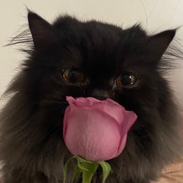 She loves flowers