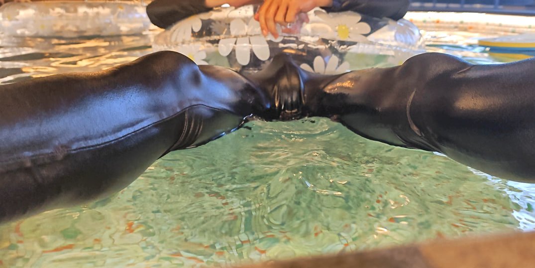 挑戰一下住宿的泳池，提供透明泳圈也太澀.......
晚上光線也很夠呢🥵🥵