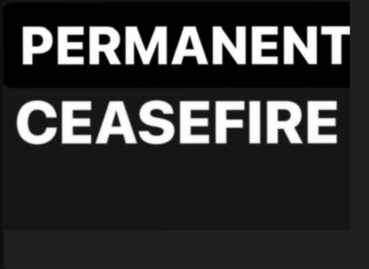 anne bourne tweet media