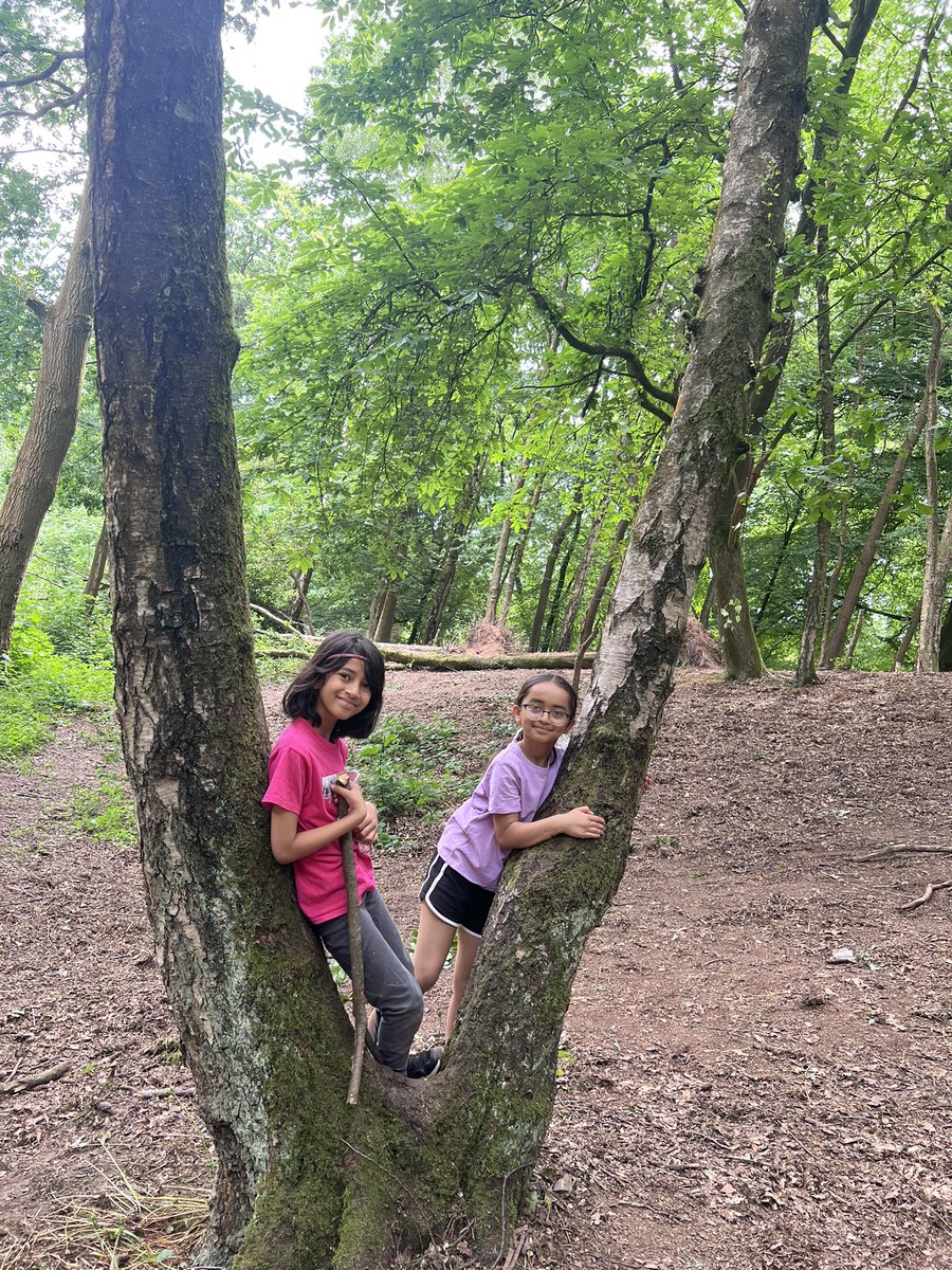 MrsSutton tweet media