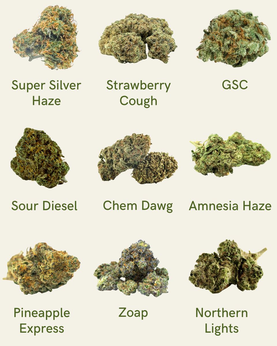 🌿 How many of these cannabis strains have you tried?

We’re always curious what the community is rolling with.

Which ones are 🔥 and which ones were overrated?

#CannabisCommunity #StrainHunters #WeedTwitter #CannabisEducation