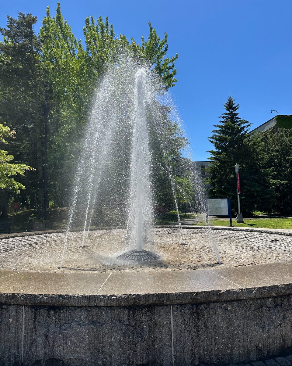 The longest day of the year = more time to find Wolfie. Spot Wolfie in the photos on our #SBUtiful campus and drop a 🔍 when you find him.