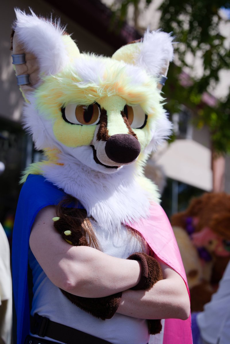 Wear your stripes this #FursuitFriday