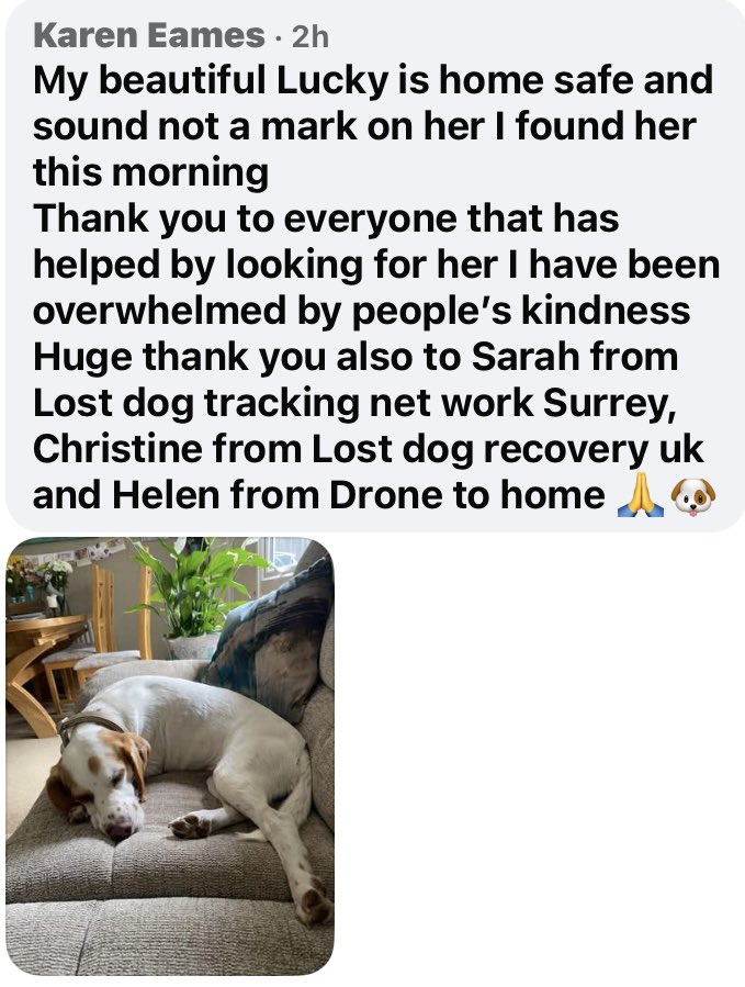 Lost Dog Recovery UK South tweet media