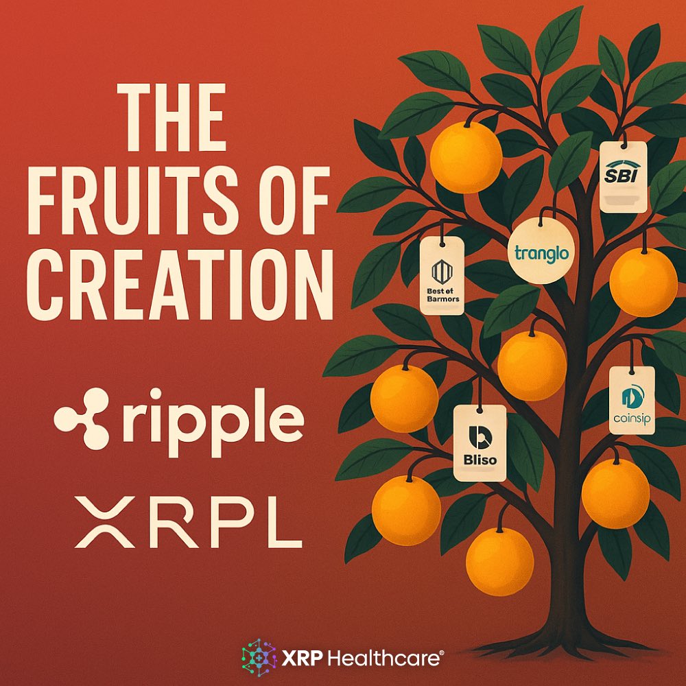 While others focused on beating the competition, #Ripple focused on building the future.

🌱 The #XRP Ledger wasn’t designed to outpace rivals — it was designed to create real-world impact.

See how quiet innovation led to a global ecosystem 👇
medium.com/@XRPHealthcare…