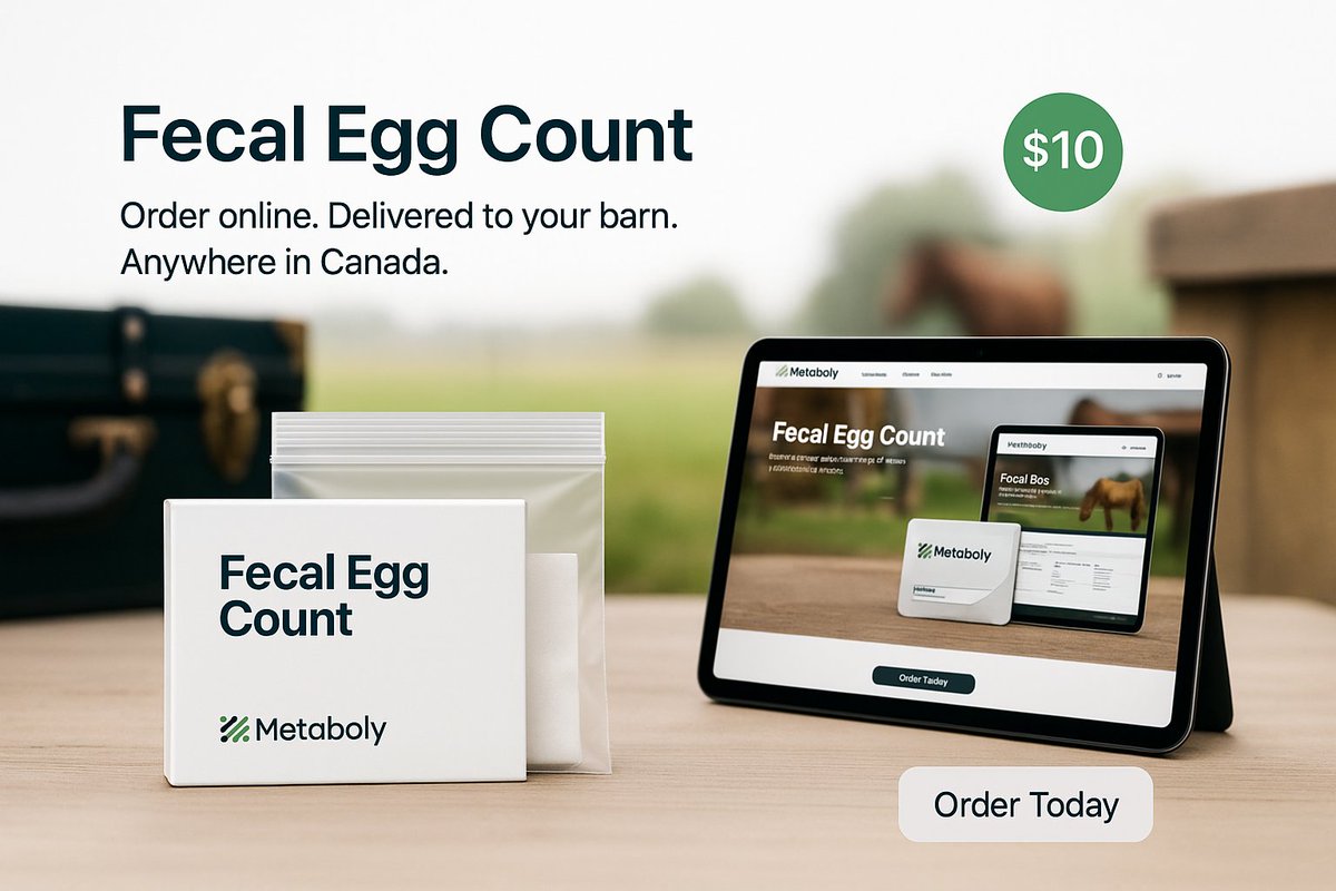 Metaboly™️ tweet media