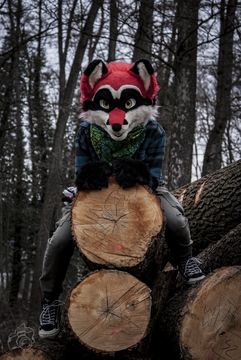Hey! Wanna go and have some fun in the forest?

Happy #FursuitFriday! 

📸 <a href="/akkiefloofie/">Akkie ₍ₑₘᵣₑₑ₎</a> 
🧵 <a href="/crunchchute/">chase 🌆</a>