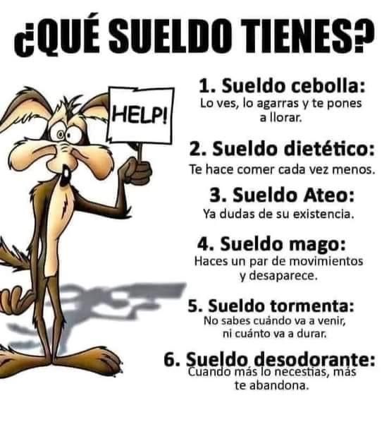 Yo: sueldo mago
Les leo