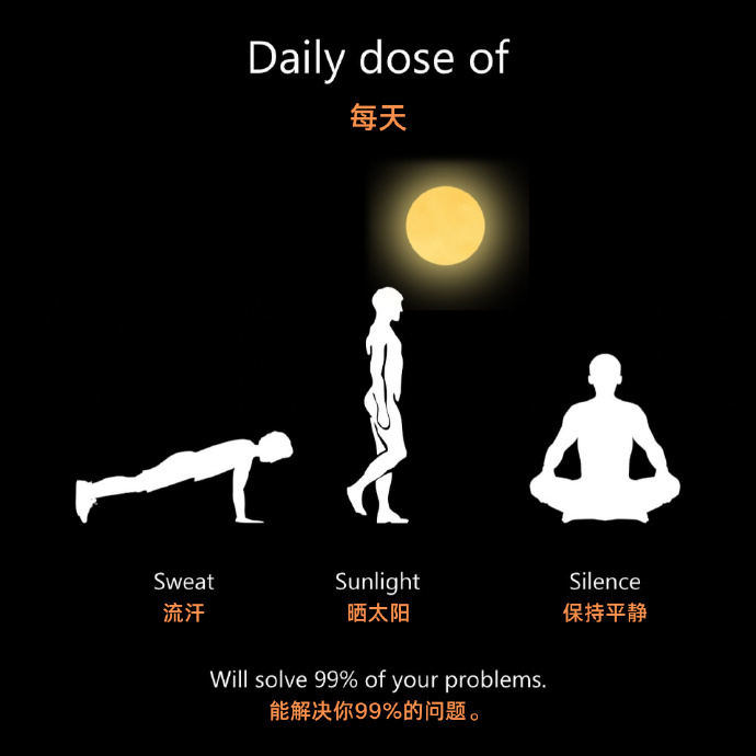 每天，流汗、晒太阳、保持平静，能解决你 99% 的问题。
