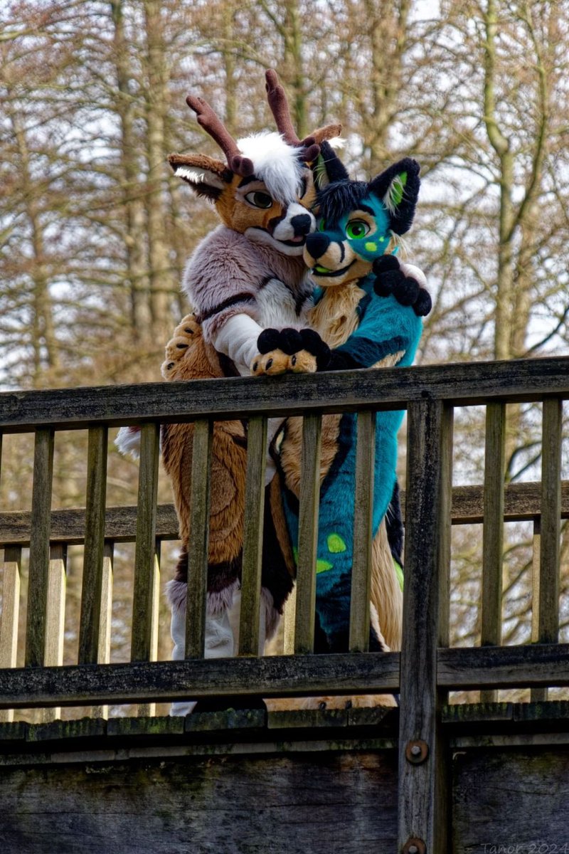 Michael ๐ NFC,FWA,East, (@michaelfolf) on Twitter photo A walk in the woods? No, we'd rather conquer the bridge!
๐ฆ:<a href="/Himaru_Shepherd/">โค๏ธ๐พH.M.S. ใฒใพใ ๐พโค๏ธ ๐ NFC-Furciety ๐</a>
๐ธ:<a href="/TanorTheWolf/">Tanor the Wolf</a>
๐ชก:<a href="/MadeFurYou/">Made Fur You</a>
#fursuiting #furryfandom #Fursuit #furryartwork #furryart #furry #Fursona #madefuryou #MFY #FursuitFriday A walk in the woods? No, we'd rather conquer the bridge!
๐ฆ:<a href="/Himaru_Shepherd/">โค๏ธ๐พH.M.S. ใฒใพใ ๐พโค๏ธ ๐ NFC-Furciety ๐</a>
๐ธ:<a href="/TanorTheWolf/">Tanor the Wolf</a>
๐ชก:<a href="/MadeFurYou/">Made Fur You</a>
#fursuiting #furryfandom #Fursuit #furryartwork #furryart #furry #Fursona #madefuryou #MFY #FursuitFriday