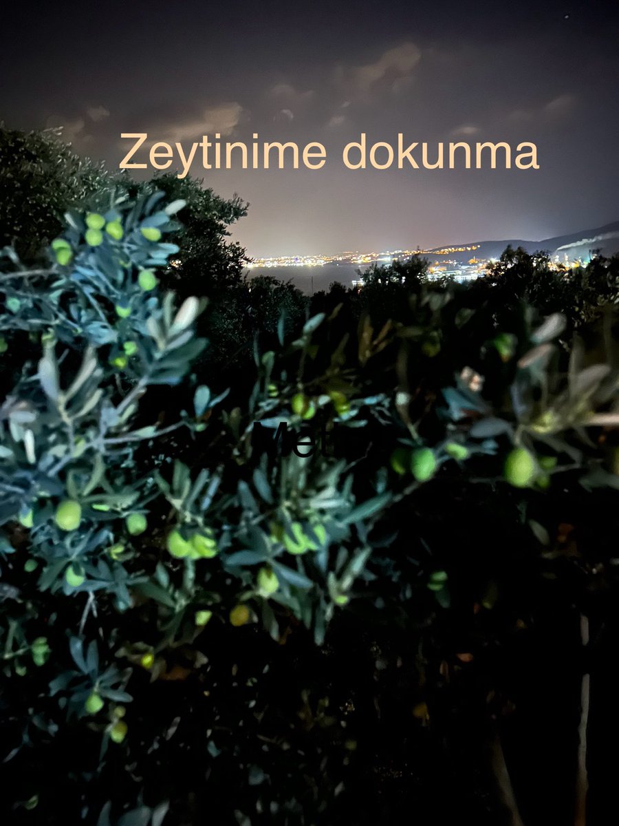 #ZeytinimeDokunma
