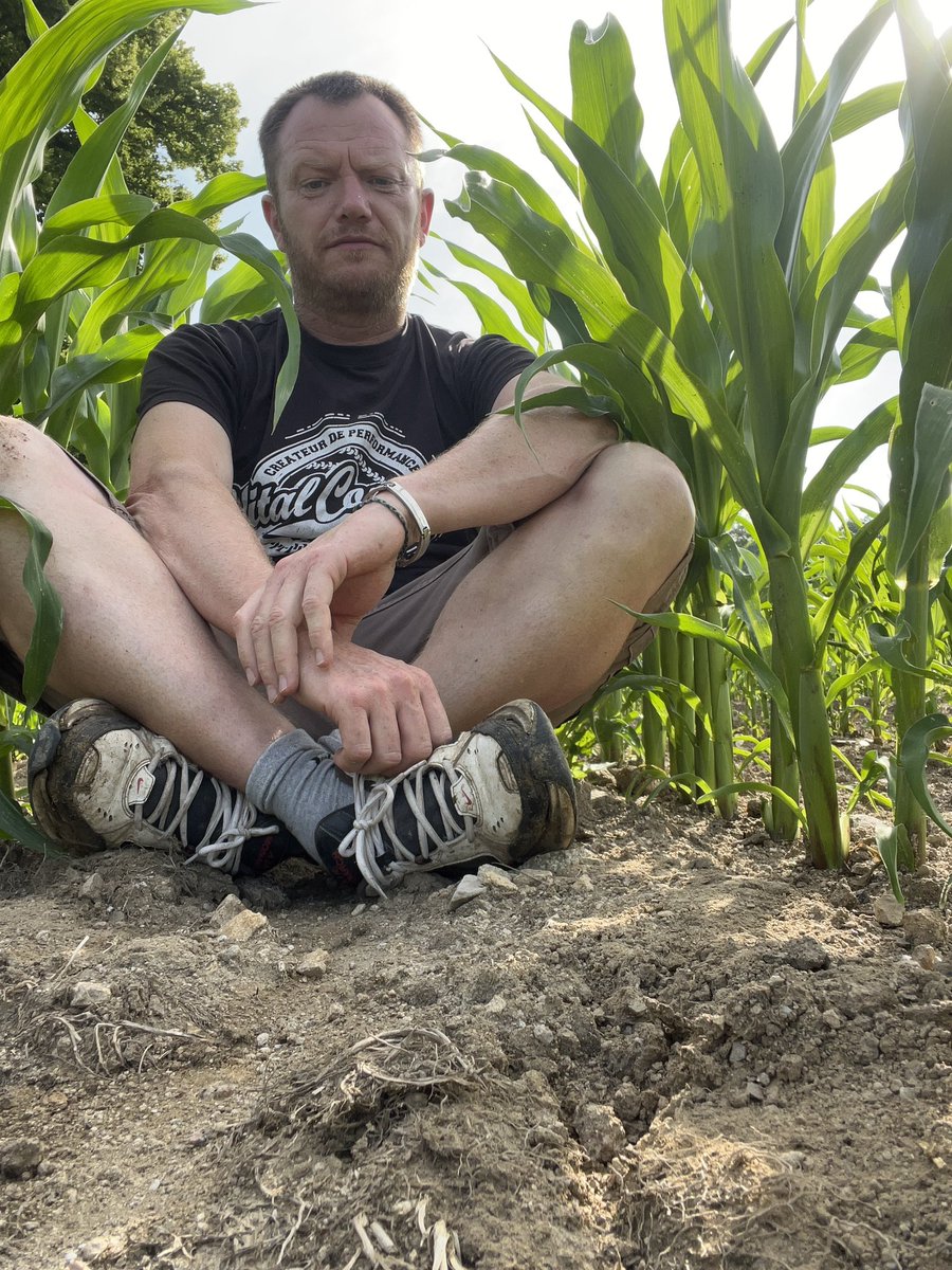 Quand tu veux faire une photo pour tweeter comme un #Céréalier #CornLovers 
Mais que tu es #Éleveur et que tu habites en Creuse 😅
#fragtw