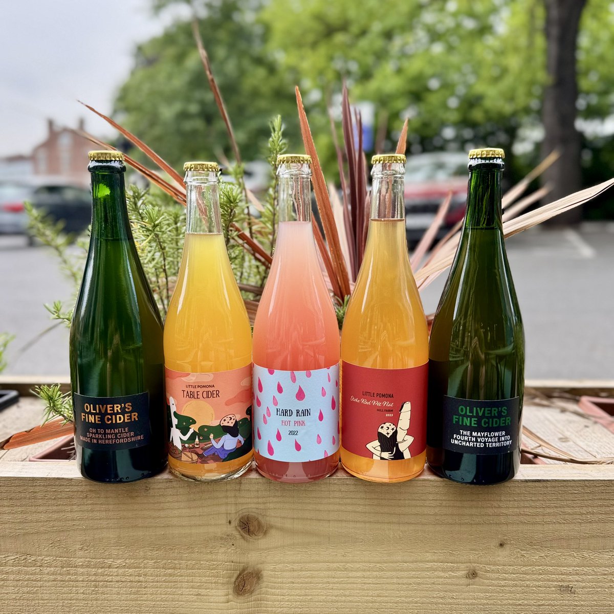 Our new sharing ciders have arrived just in time for this weekends weather. 

Grab a pal and head down tonight to share a bottle on the terrace!