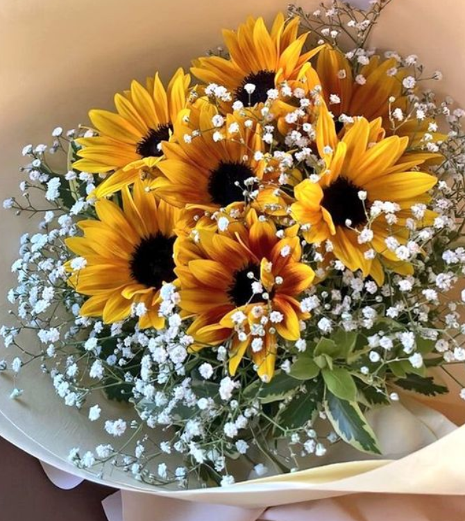 🌻🤍🌻🌻🤍🌻🌻🤍🌻🌻🤍🌻
             𝐹𝓁𝑜𝓌𝑒𝓇 𝒟𝑒𝓁𝒾𝓋𝑒𝓇𝓎

𝐹𝑜𝓇: <a href="/xiuuki/">xiu ⁷</a>

𝐹𝓇𝑜𝓂: Anon

𝑀𝑒𝓈𝓈𝒶𝑔𝑒: ilysb <3 always thoughts

🌻🤍🌻🌻🤍🌻🌻🤍🌻🌻🤍🌻