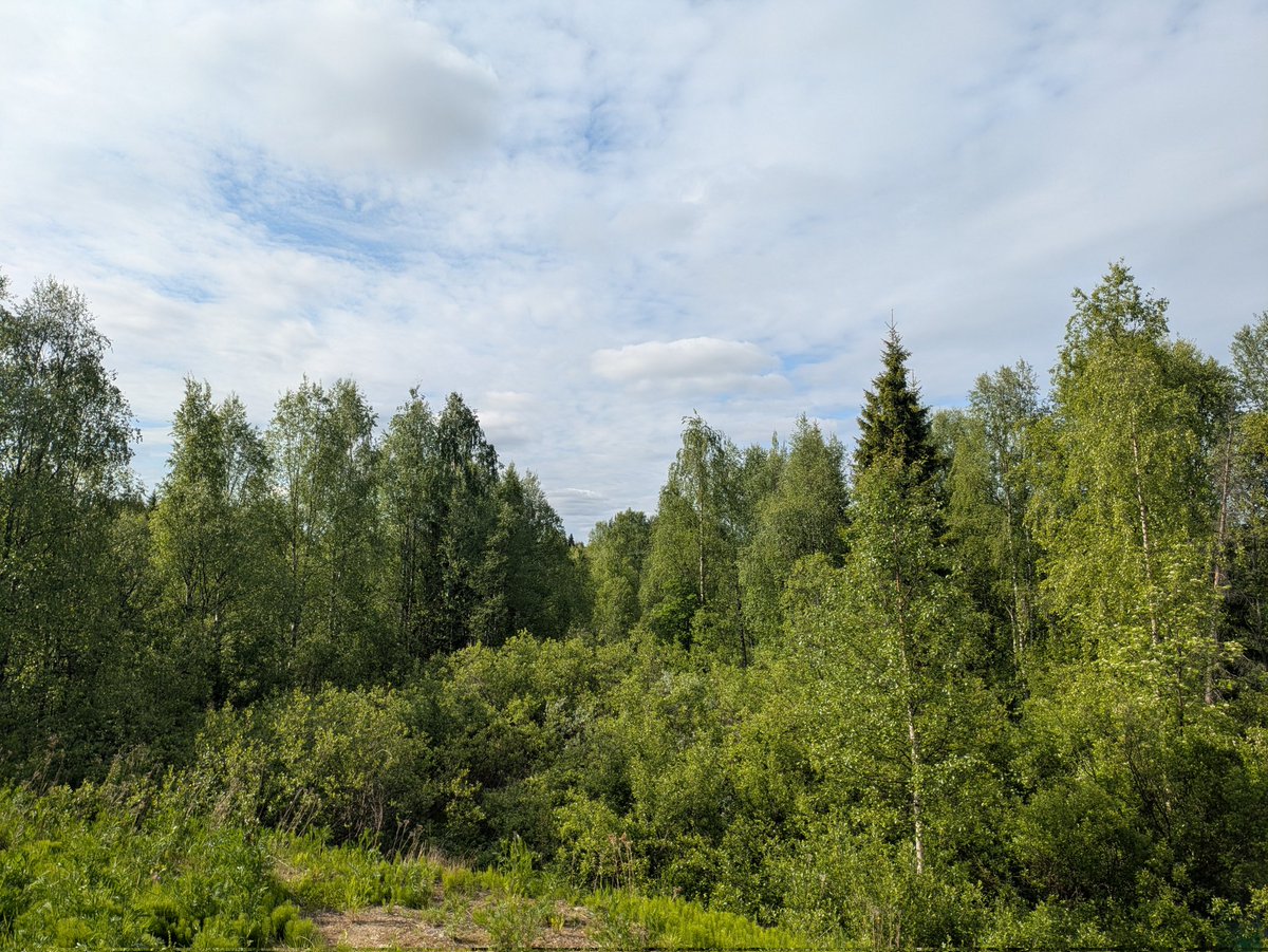 Hyvää juhannusta!