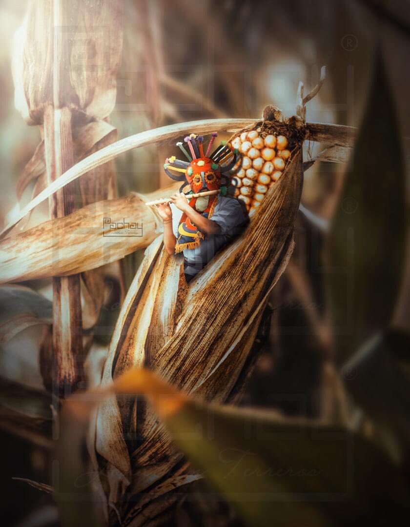 Que el sol abrigue y señale los comienzos. 

Todos los que sean necesarios. 

Todos los que sean significativos. 

#IntiRaymi, un nuevo ciclo. La fiesta sagrada.