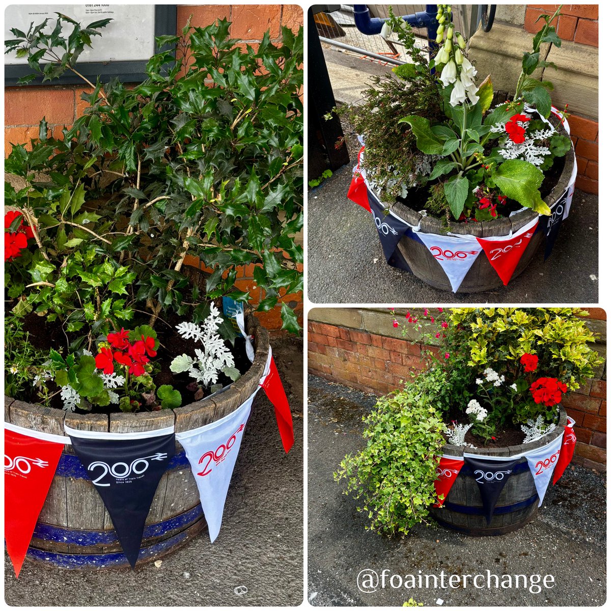 Friends of Altrincham Interchange (@foainterchange) on Twitter photo #Railway200 themed planters on platform 4 #Altrincham on the <a href="/northernassist/">NORTHERN 🚆</a> <a href="/MidCheshireCRP/">MidCheshireCRP</a> line. <a href="/networkrail/">Network Rail</a> <a href="/CommunityRail/">Community Rail Network</a> #rail <a href="/BestKeptStation/">Cheshire Best Kept Stations</a> #volunteers #Railway200 themed planters on platform 4 #Altrincham on the <a href="/northernassist/">NORTHERN 🚆</a> <a href="/MidCheshireCRP/">MidCheshireCRP</a> line. <a href="/networkrail/">Network Rail</a> <a href="/CommunityRail/">Community Rail Network</a> #rail <a href="/BestKeptStation/">Cheshire Best Kept Stations</a> #volunteers