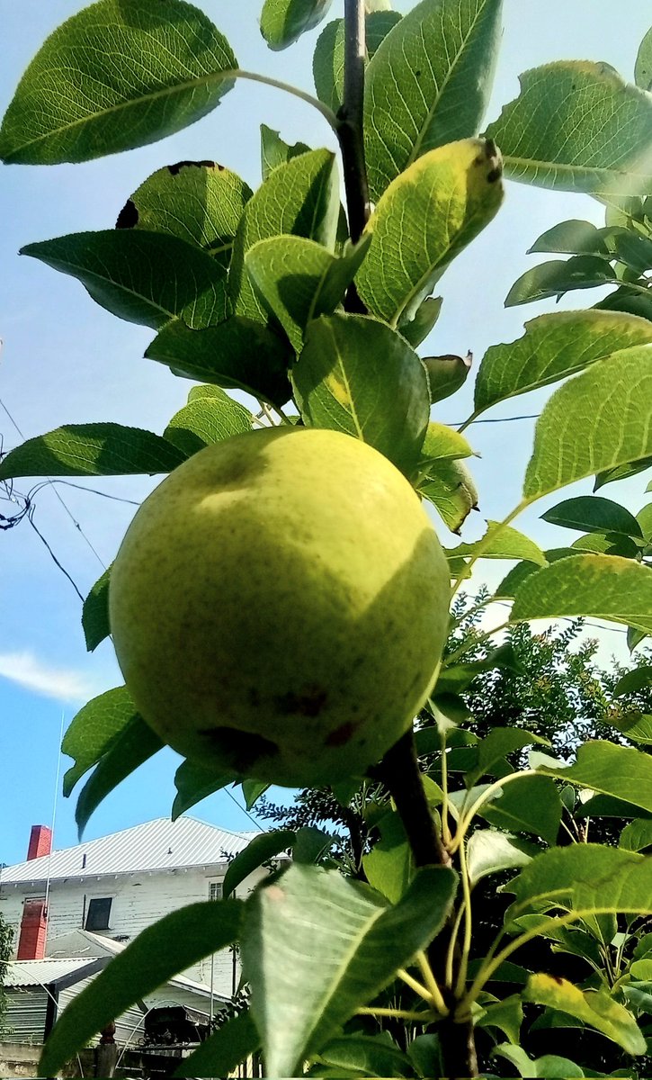 Good my dearest friends. 
Happy and blessed Friday. 
Love and Fraternity.