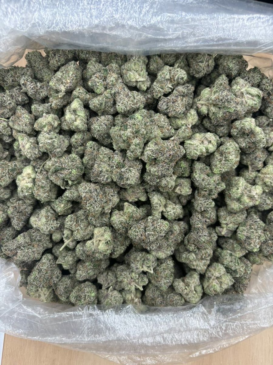 therealBShiesty's tweet image. Having flavors ⛽️⛽️ #336plug #ncplug #GreensboroNC #NCAT