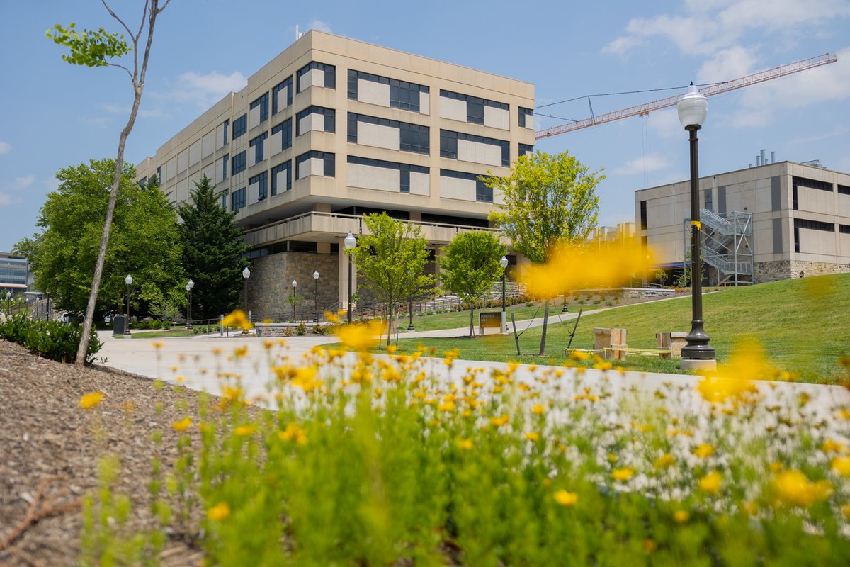 VT_ECE's tweet image. Happy first day of summer, Hokies! 🔆