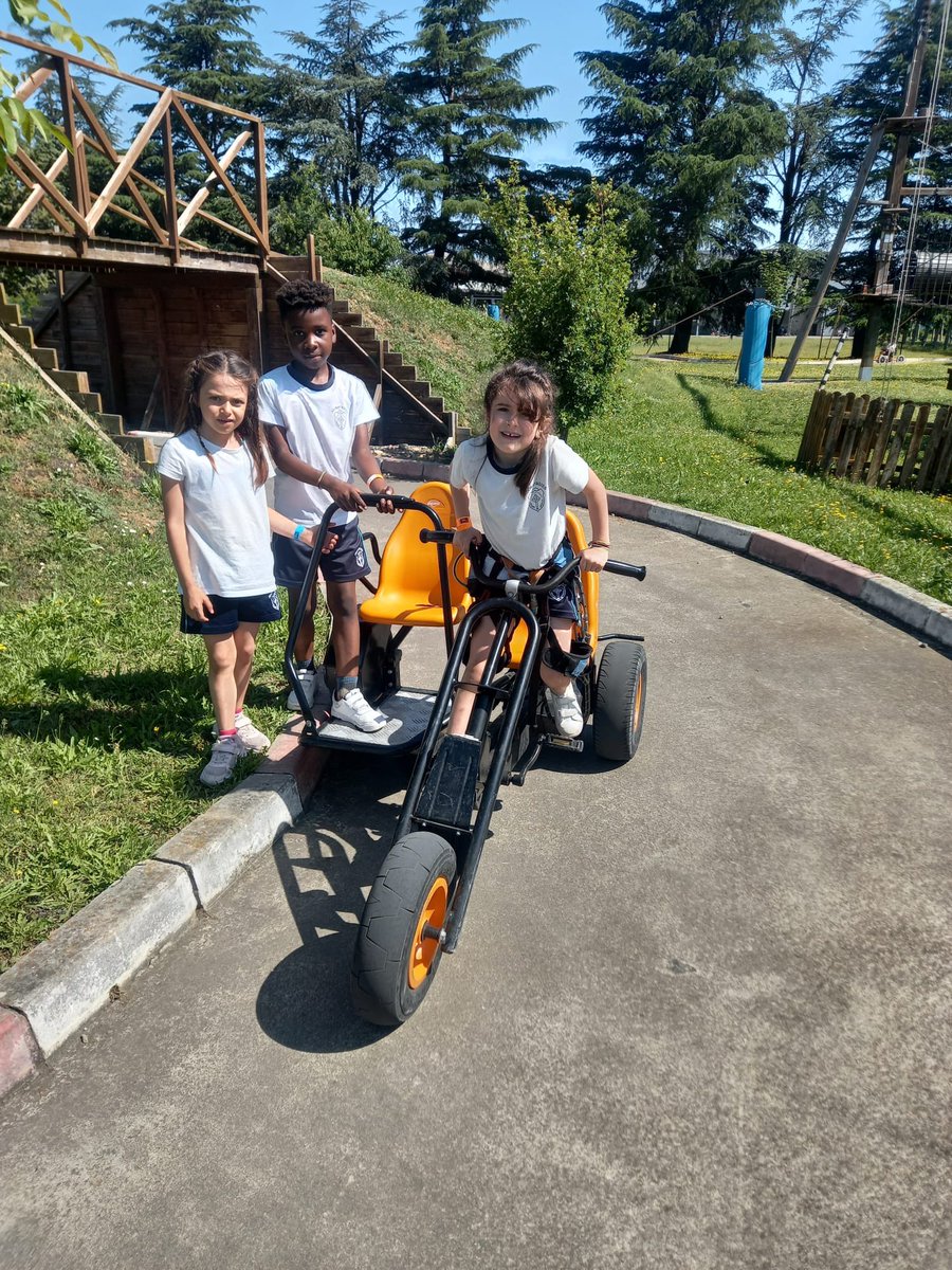 Colegio Adoratrices Logroño tweet media
