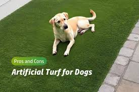 Exit 1010🌳 Enter 1111🔜
 #openseatouchgrass