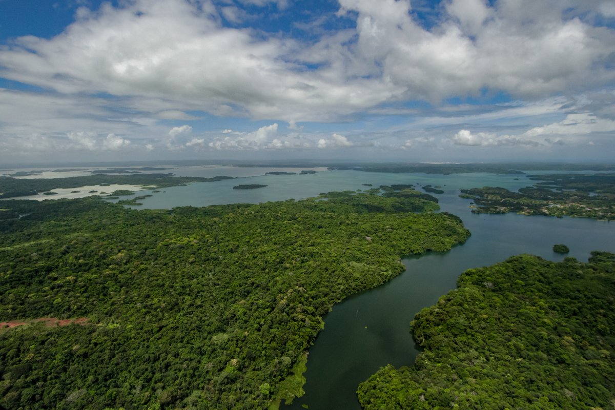 ¿Cuál es el nombre del lago artificial más grande del Canal?
A) Gatún
B) Miraflores
C) Alhajuela