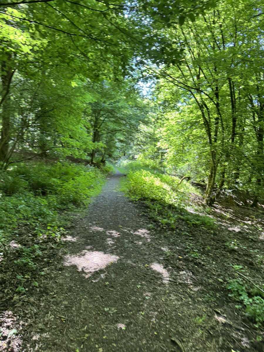 Are 26 degrees
too hot to run?

or too comfortable to grow? 👀

Just go out and do it 🫡