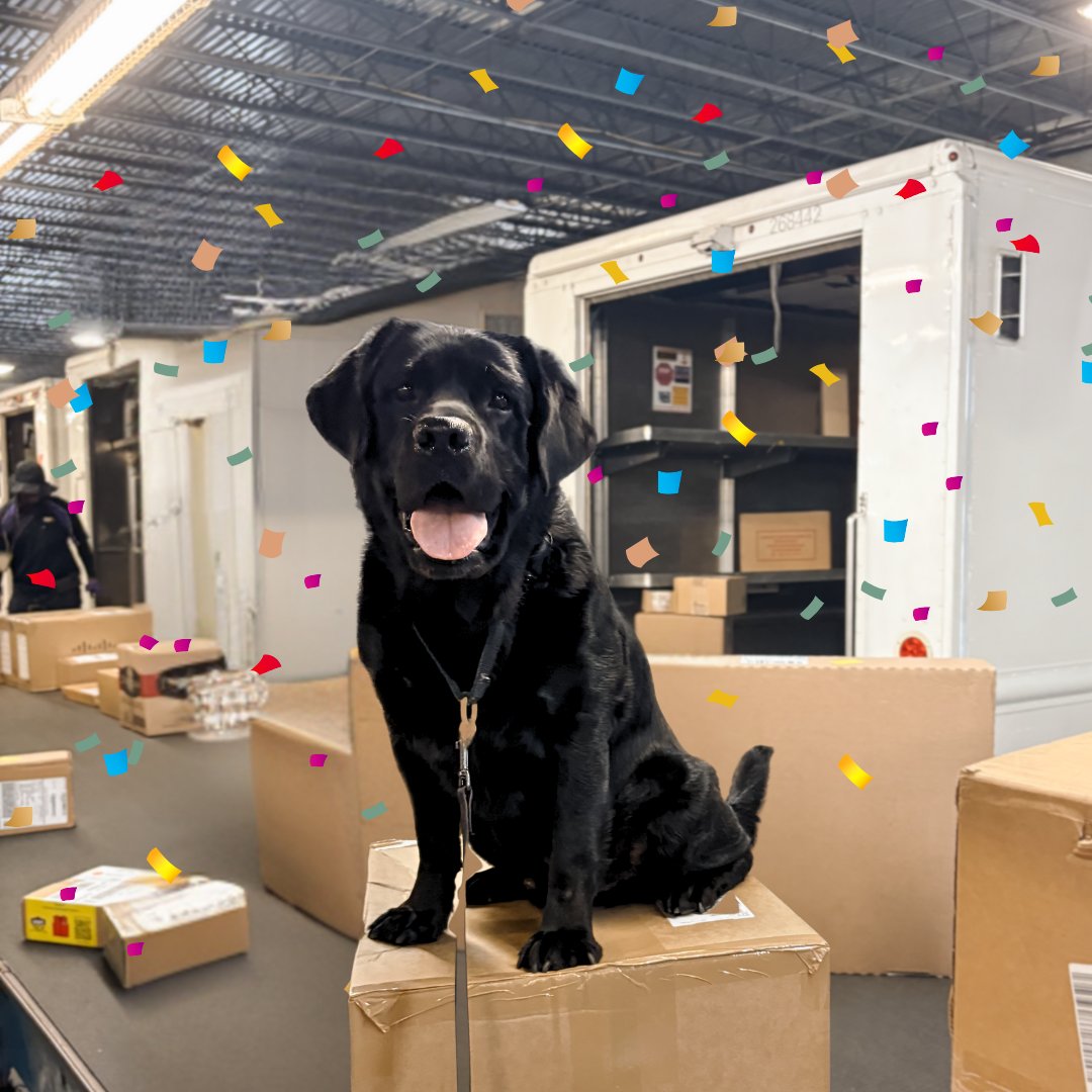 🎉 Today, we're celebrating 🐾 Higgenz' 8th birthday and commemorating his 5+ years of service with the Division of Plant Industry!

Now, it's time to hang up his vest and enjoy a well earned retirement. We hope you have a great birthday and retirement Higgenz! 🍰