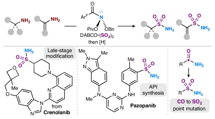 ckellzchem's tweet image. Super thrilled to finally see this collaborative work between @JNJNews 's DPR, CCAP, and ISD groups with @LevinChem and @group_levin live on @NatureChemistry ! Here's to more fruitful endeavors in the world of molecular editing and deaminative functionalization!
Link:…