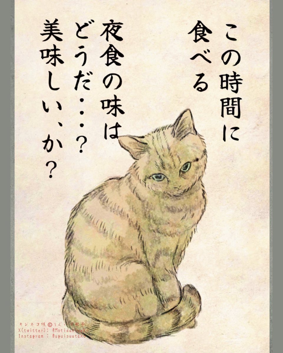 ねこ様 Kizineko-sama | 「ちがう」 ネコの書籍ッ！予約受付中ッ！ ハイ