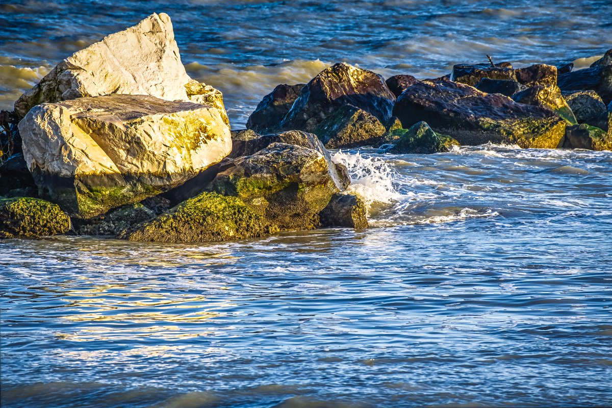 Vivida 🌻 (@vividaphotopc) on Twitter photo 