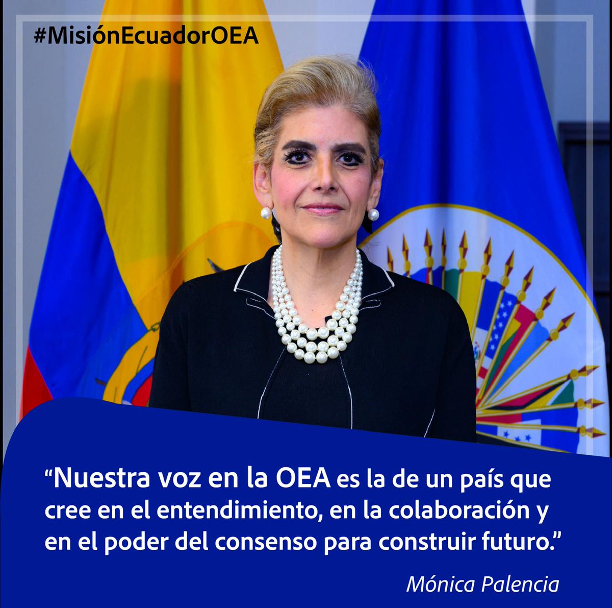 En su primer mensaje ante la <a href="/OEA_oficial/">OEA</a> , <a href="/OAS_official/">OAS</a> , la embajadora Mónica Palencia reafirmó la voluntad de 🇪🇨 de construir una América más inclusiva, diversa y con resultados reales.
#MisiónEcuadorOEA 
#DiplomaciaConPropósito