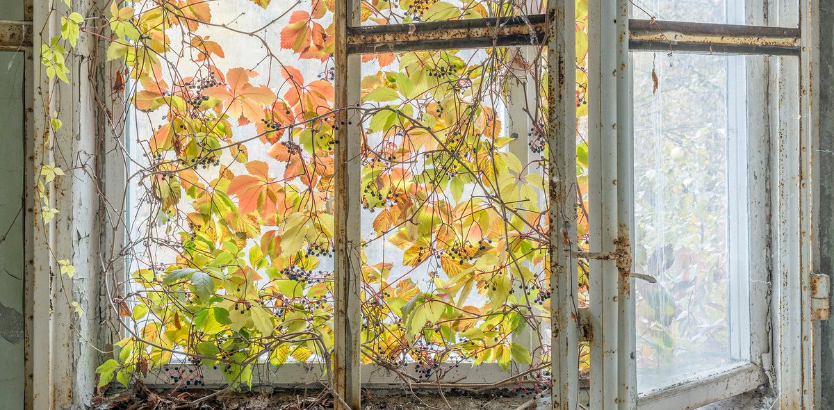 Under a Warm Green Linden, Issue 19, is now live! Read exciting new work from 23 poets and translators, including the recipients of the Stephen Mitchell Prize for excellence in translation and the Wishing Jewel Prize for poetic innovation: greenlindenpress.com/issue19