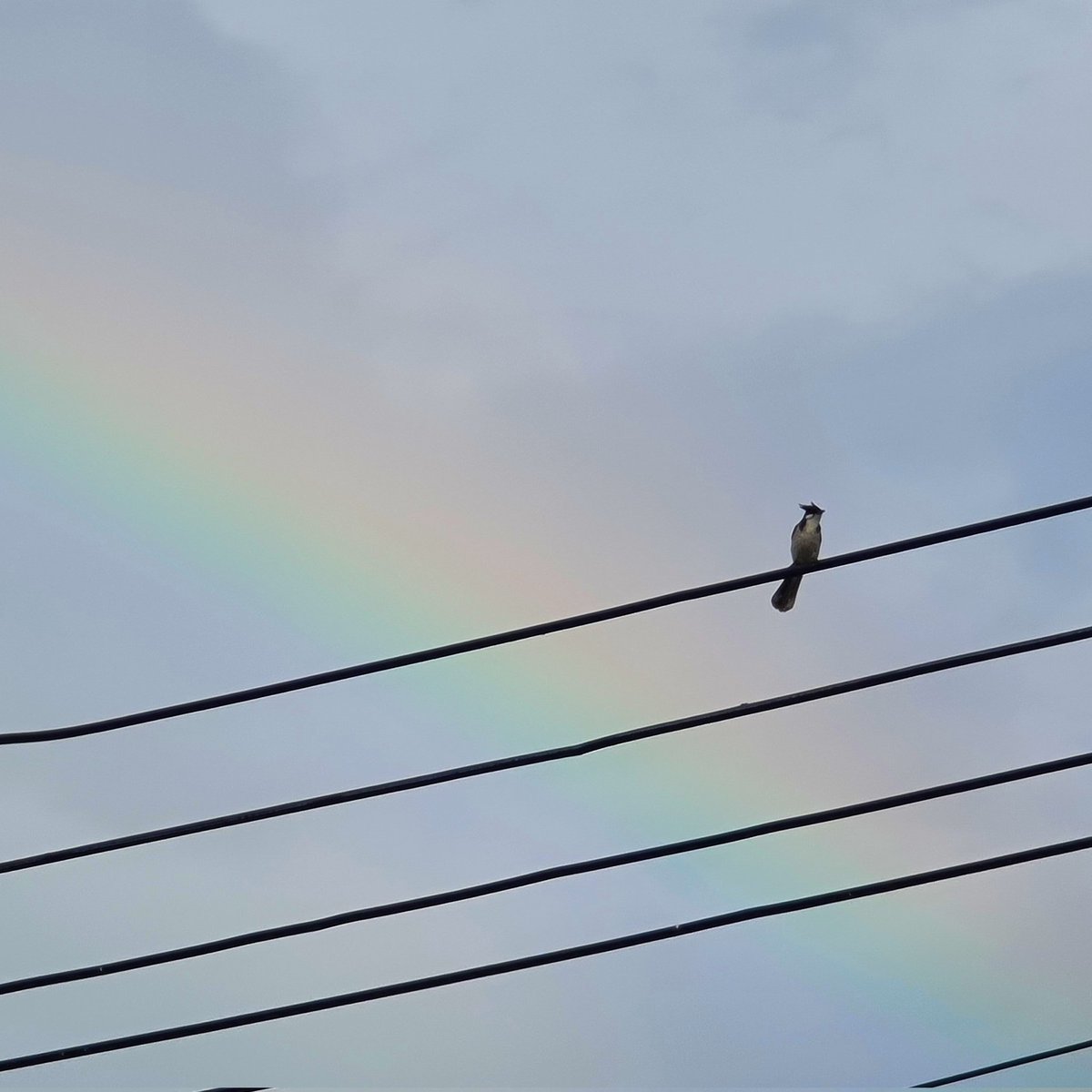 มีวันฝนตก ก็ต้องมีวันแดดออก