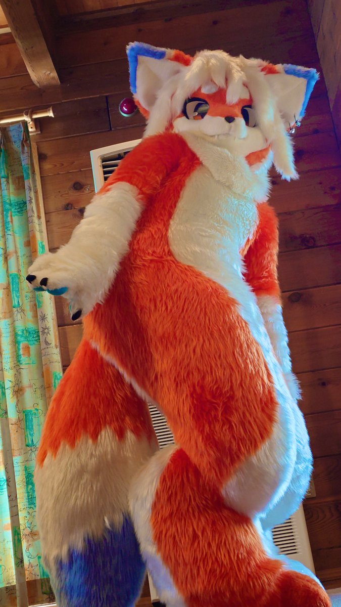 太ってないよ、がたいが良くなっただけだよ🥺🥺🥺
#FursuitFriday 
📷:#heli_moff