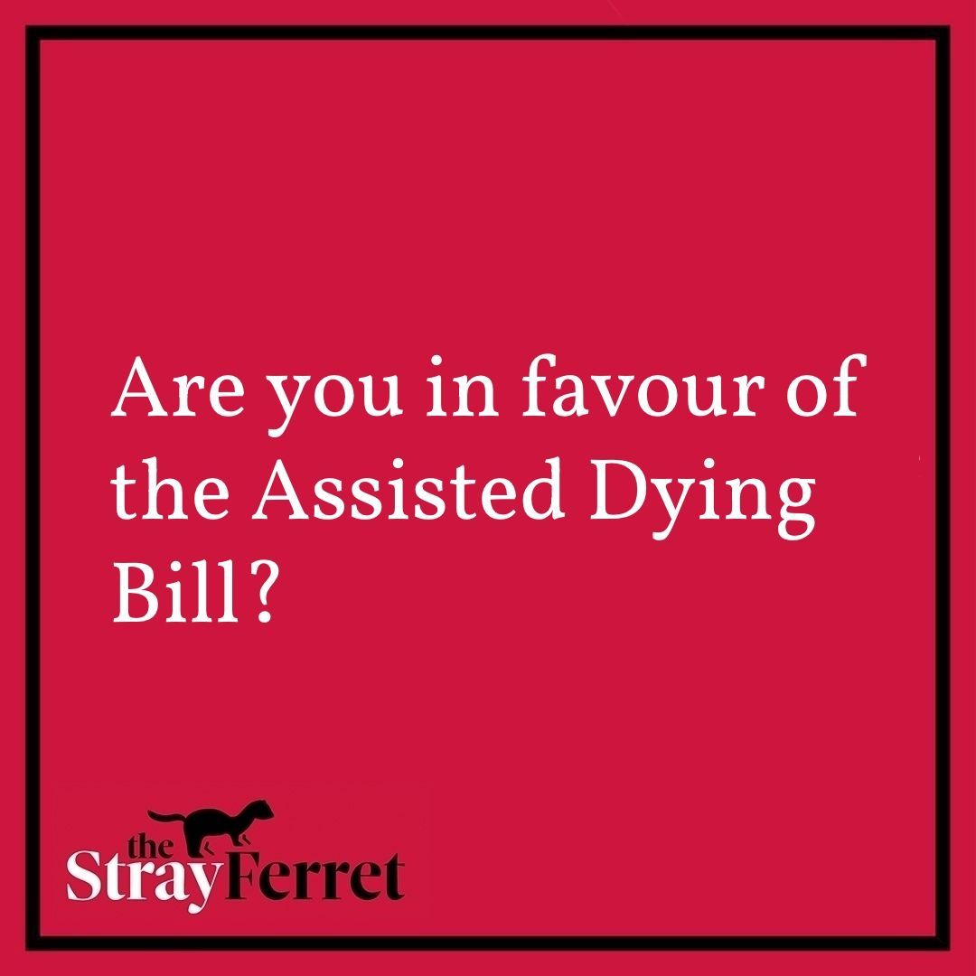 The Stray Ferret tweet media