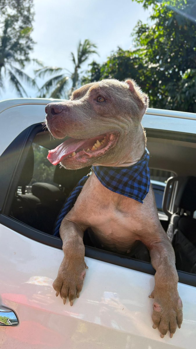 Niall Harbison tweet media