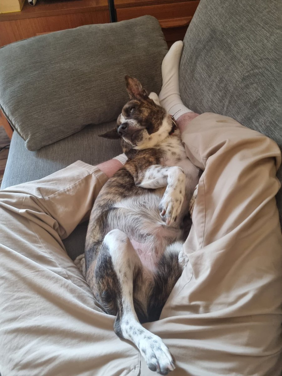 Niall Harbison tweet media