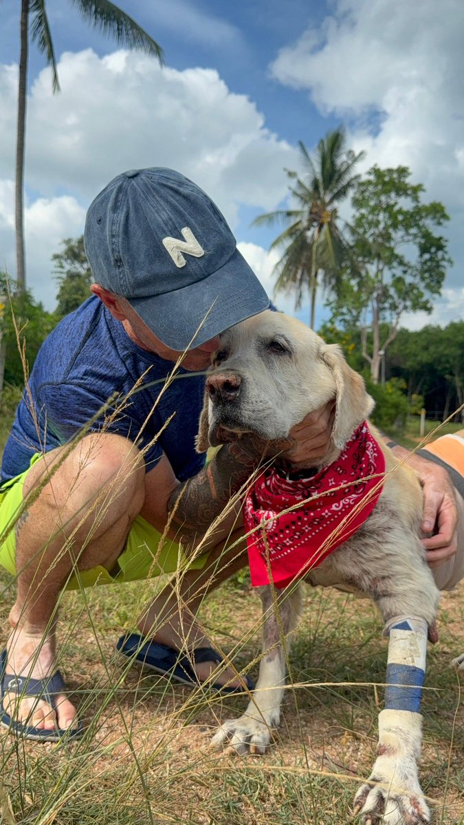 Hank the tank, Chance, Maximus, Britney and Big T wanted to wish you all  great weekend. 

Just remember no matter how bad things seem or how down you are… there is always a way back. 

Look after yourselves and be kind to each other ❤️