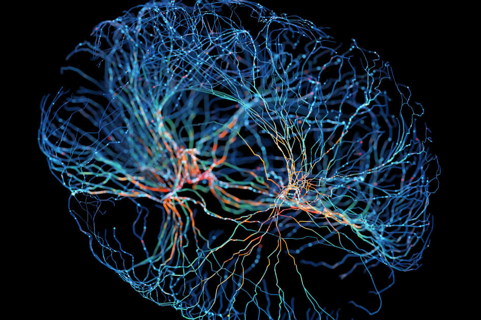 YaleMed's tweet image. In a new @Nature study, a team led by @YalePsych's Matthew Girgenti, PhD, identifies cellular-level changes in the #brains of people with #PTSD, suggesting new targets for future #treatments: bit.ly/3TtmGK3