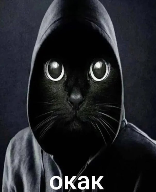 Я: Трачу кучу денег на курсы по повышению навыков, чтобы получить оффер

Работодатель: Нанимает на работу вместо меня чувака, с крутым профилем в Сетке

Я: