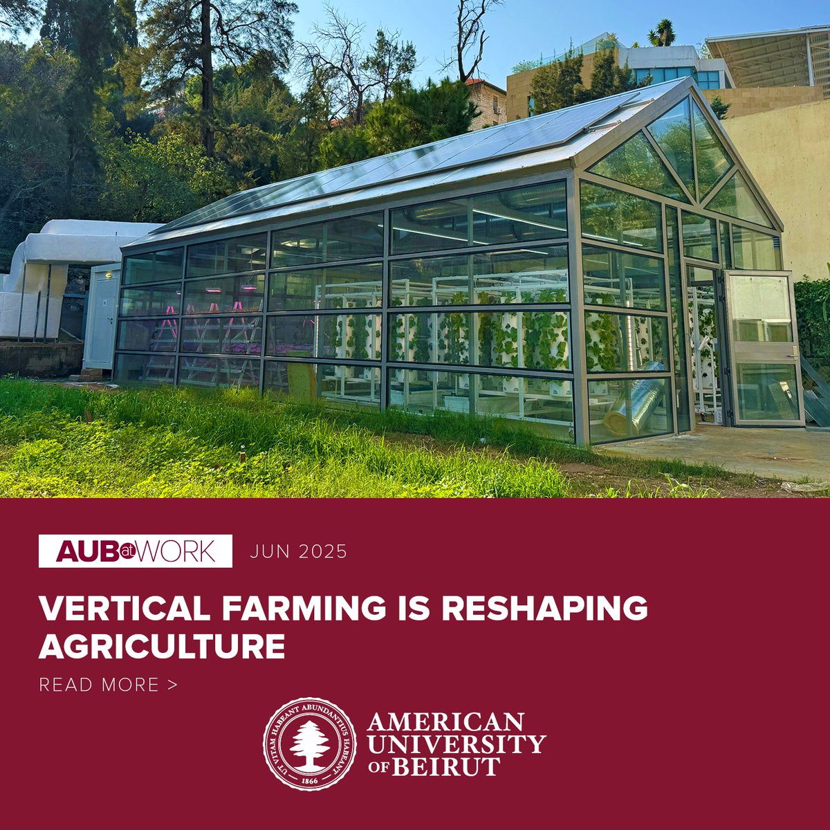 What if the future of farming didn’t need soil—or much water? At AUB, Professor Walid El Kayal’s vertical farm reimagines food production for a world facing rising temperatures and shrinking water supplies. Learn more: tr.ee/vertical