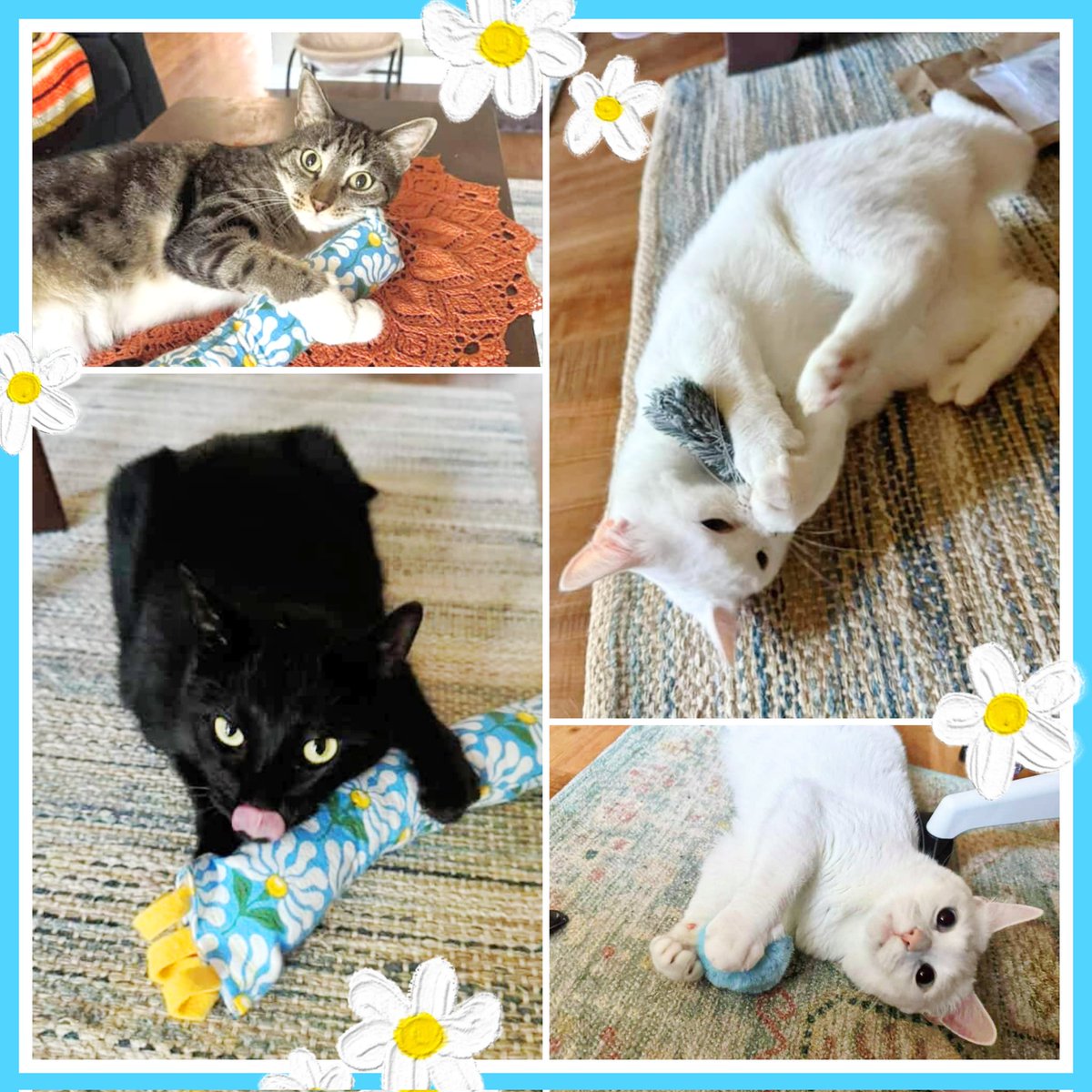 Look at these happy cuties! They are loving their <a href="/spacekittyexp/">Space Kitty Express</a> toys! 😸🩵🌻 Thank you to everyone who has placed orders lately! I really appreciate the support! Wishing you all a wonderful start to Summer! 🌞🌞🌞
Visit spacekittyexpress.com to grab some toys for your cats!