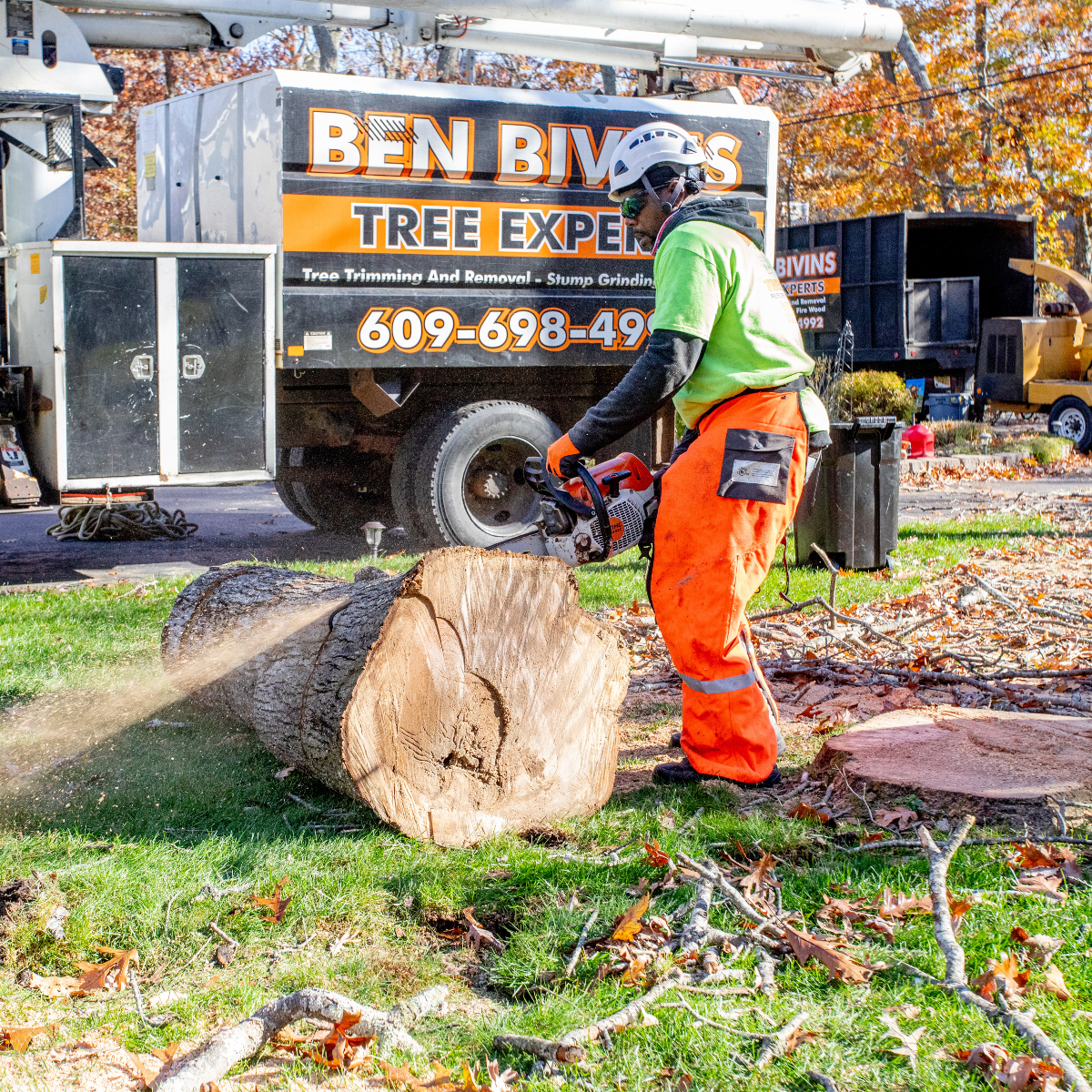 BivinsTree's tweet image. We don’t just remove trees, we remove every trace. At Ben Bivins Tree Experts, clean-up isn’t an afterthought, it’s part of the job. From stump to sweep, we leave your yard spotless.
#TreeCareDoneRight #BenBivinsTreeExperts #CleanYard #TreeServiceNJ #TreeRemovalExperts #LocalPros